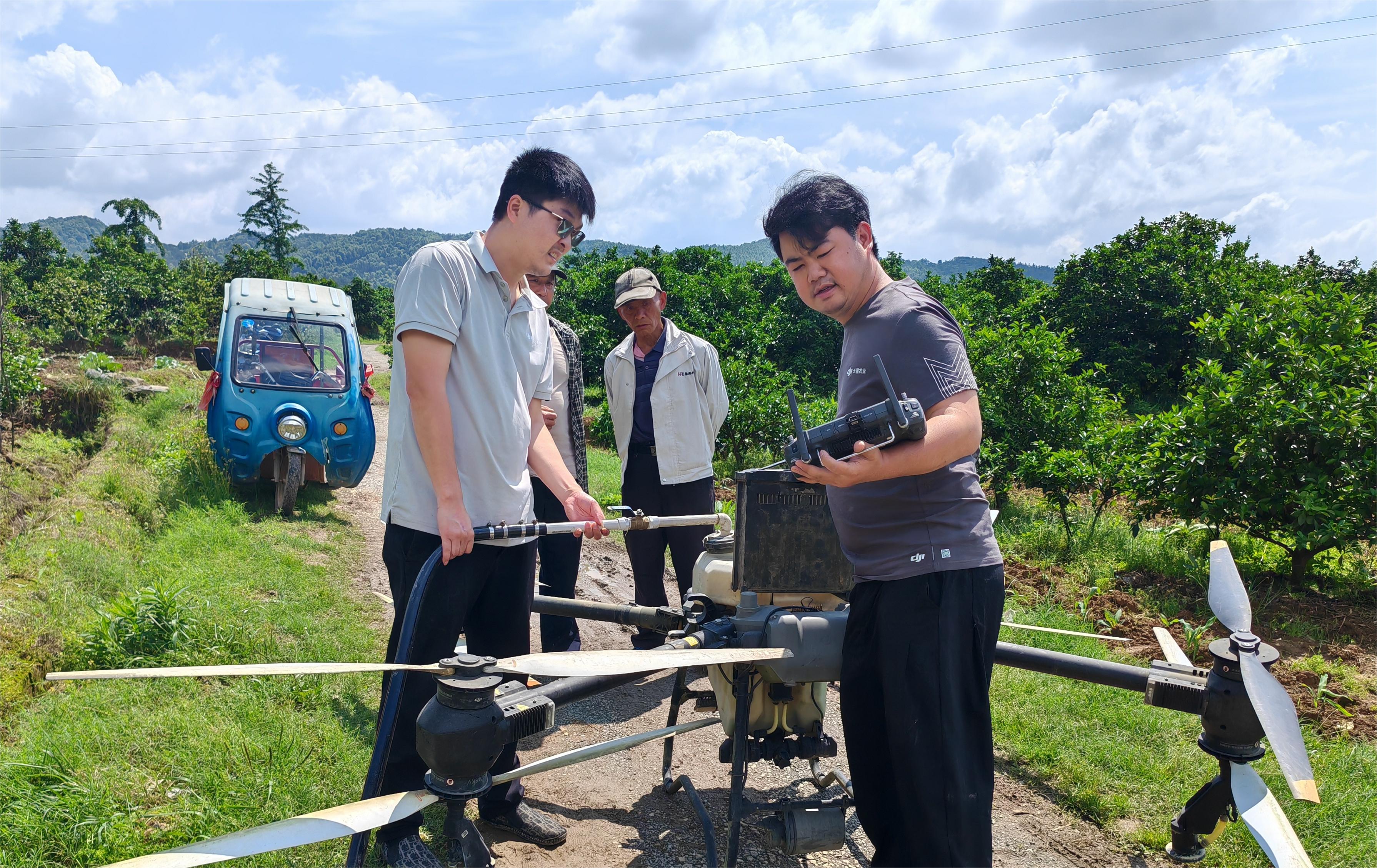 5天3万+亩！！！尊龙时凯植保飞防队支援新宁县柑橘重大病虫害防控工作！！